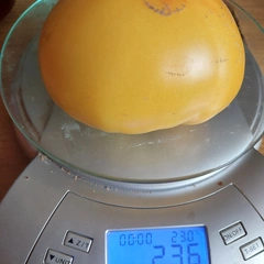 Azoychka – Wioletta Derewecka, 236 g