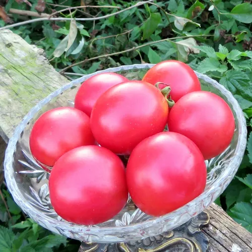 Różowe, kuliste i drobne owoce odmiany Brandywine Cherry w szklanej misce.