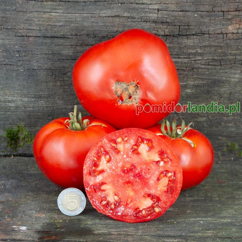 Beefsteak