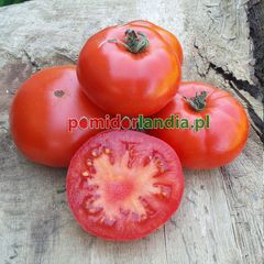 Marmande