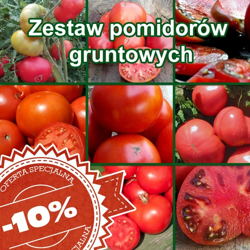 Zestaw Pomidory Gruntowe