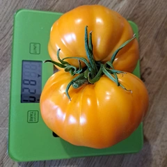 Orange Strawberry – Agnieszka Wendt, 827 g