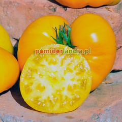 Limmony Heirloom