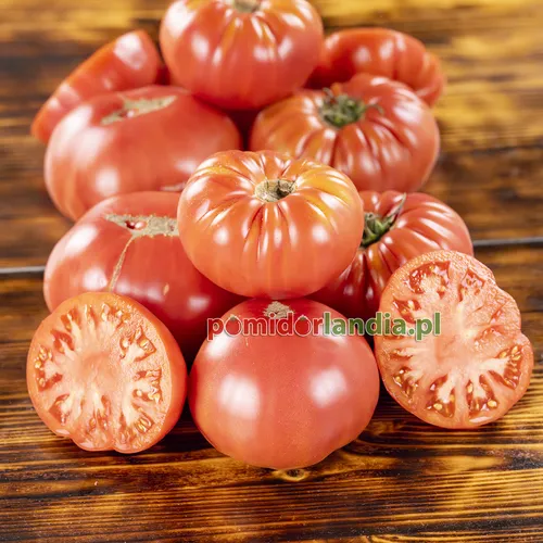 Różowe, spłaszczone i żebrowane owoce odmiany Rose Heirloom na drewnianym stole. Dwa owoce są przekrojone, ukazując jasnoróżowy miąższ.
