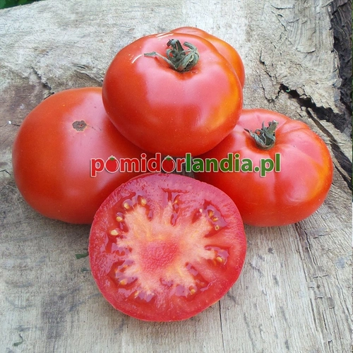 Marmande