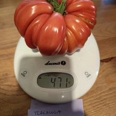 Tlacolula Ribbed – Aleksandra Gąsiorska, 471 g