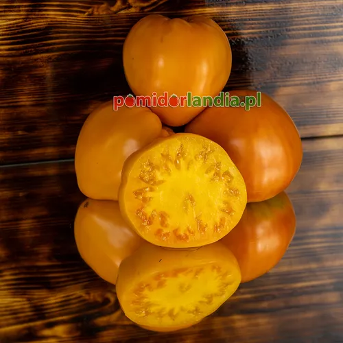 Żółte, sercowate owoce odmiany Homer Fike’s Yellow Oxheart na ciemnej drewnianej powierzchni. Jeden owoc jest przekrojony, ukazując żółty miąższ.