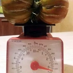 Ananas Noire – Marek Sawicki, 1430 g