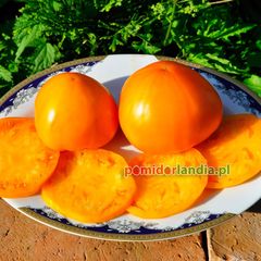 Orange Strawberry