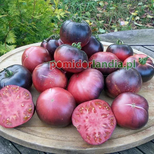 Ciemnofioletowe, kuliste i żebrowane owoce odmiany Indigo Blue Beauty Heirloom na drewnianym talerzu. Niektóre owoce są przekrojone, ukazując różowy miąższ.