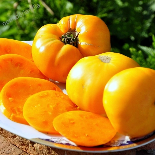 Amana Orange
