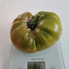 Ananas Noire – Magdalena Pydych, 876 g