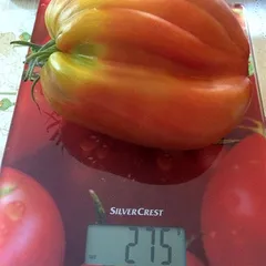 Stierhörner" Opalka – Klaudia Lubczyńska, 275 g