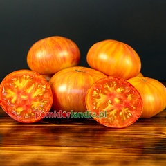 Copia