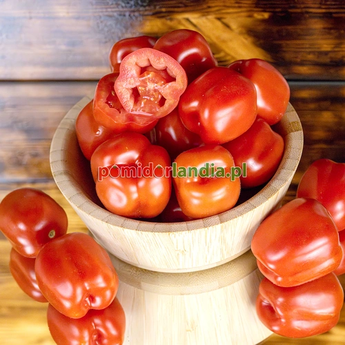 Red Stuffer Cherry