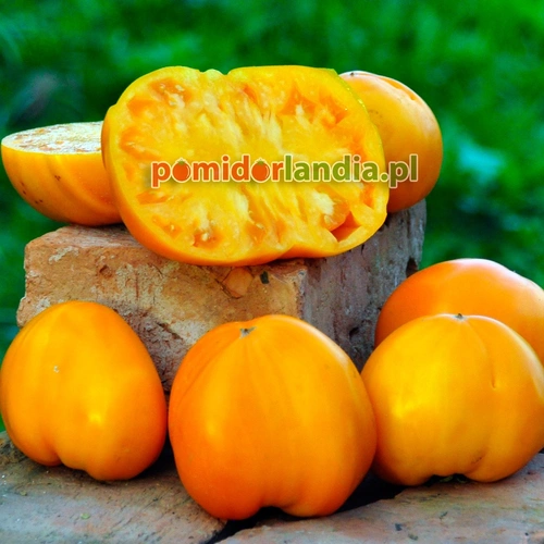 Orange Strawberry