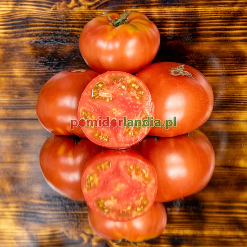 Rote, abgeflachte und gerippte Früchte der Sorte Brandywine OTV auf einem Holztisch. Eine Frucht ist halbiert und zeigt das rote Fruchtfleisch.