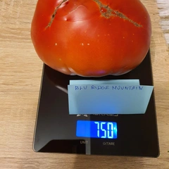 Blue Ridge Mountain – Maria Niedzielska, 750 g