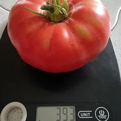 Ananas Noire – Justyna Stratyńska, 393 g