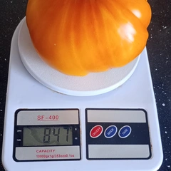 Hillybilly – Aleksandra Prochwicz, 847 g