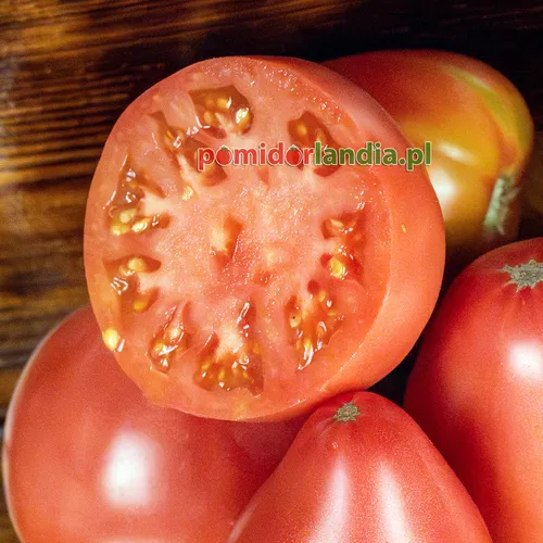Eine halbierte rosa Frucht der Sorte Anna Russian mit hellrosa Fruchtfleisch. Daneben befinden sich drei rosa Früchte.