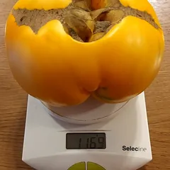 Amana Orange – Katarzyna Birnbaum, 1169 g