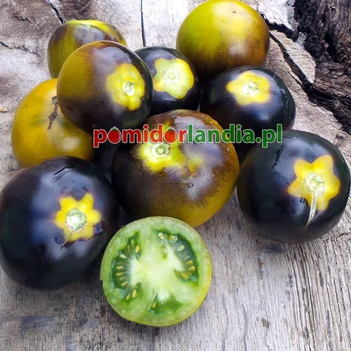 Dunkelviolette, runde und kleine Früchte der Sorte Blue Green Zebra auf Holzbrettern. Eine Frucht ist aufgeschnitten und zeigt grünes Fruchtfleisch.