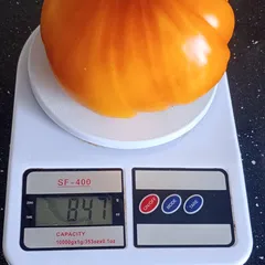 Hillybilly – Aleksandra Prochwicz, 847 g