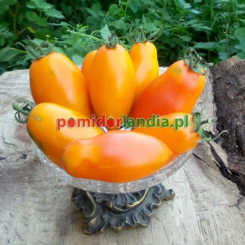 Orange Banana