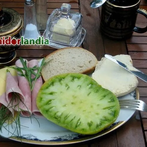 Przekrojony zielony owoc odmiany Green Giant na talerzu ze śniadaniem, obok pieczywo i wędlina.