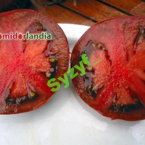 Black Krim