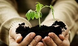 Newsletter Nr. 1 2025