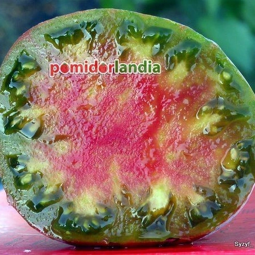 Ananas Noire