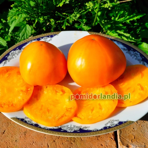 Orange Strawberry