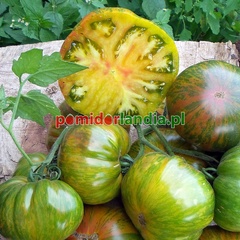 Green Copia
