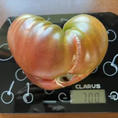 Ananas Noire – Ilona Lenczewska, 700 g