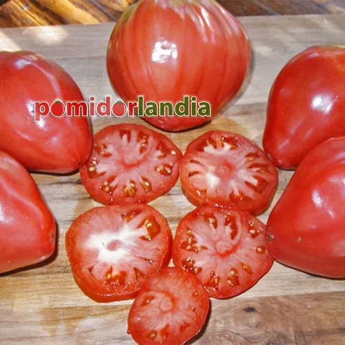 Pink, flattened and ribbed Bull's Heart tomatoes on a wooden board. Several tomatoes are cut in half, showing red flesh.