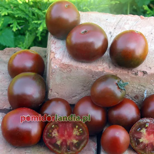 Black, round and small Brazilian Beauty tomatoes on bricks. One of the tomatoes is cut in half, showing red flesh.