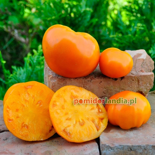 Orange Strawberry