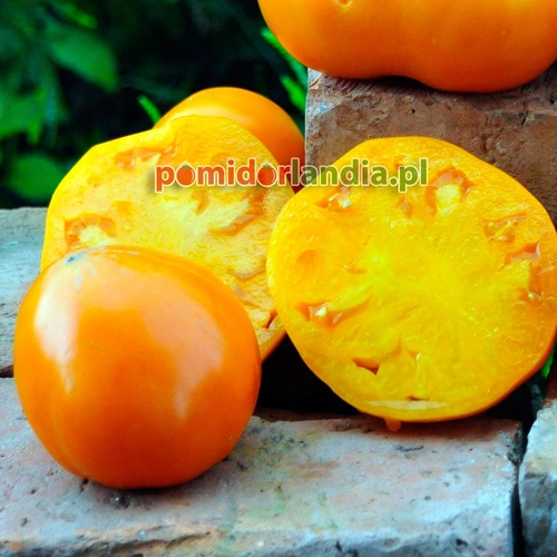 German Orange Strawberry