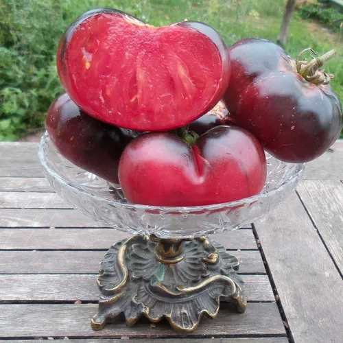 Indigo Blue Beauty Heirloom
