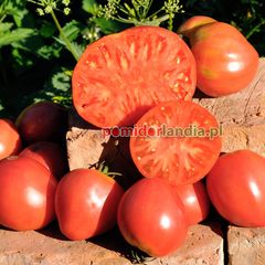 German Red Strawberry