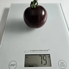 Indigo Rose – Magdalena Pydych, 79 g