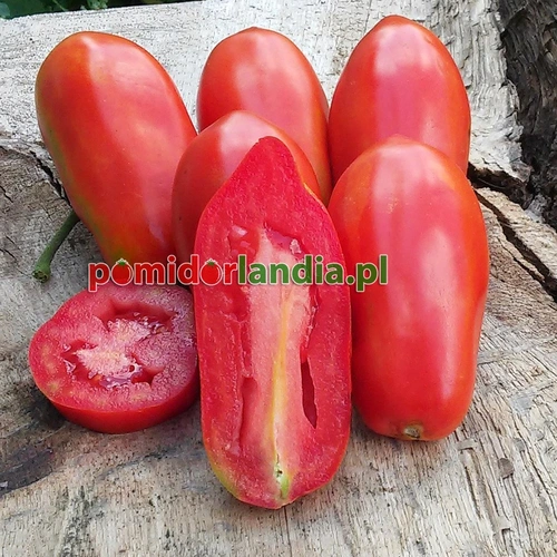 San Marzano Heirloom