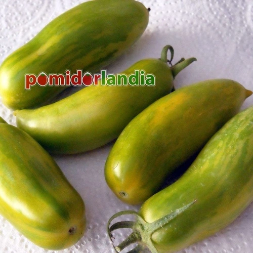 Green Sausage