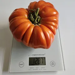 Delicious – Magdalena Pydych, 1287 g