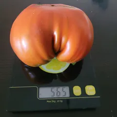 Ruby Surprise – Magdalena Stachowiak, 565 g