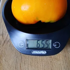 Amana Orange – Agnieszka Węgier, 655 g