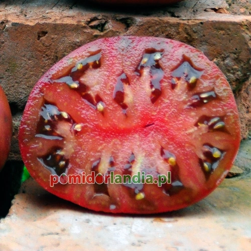 Cherokee Chocolate