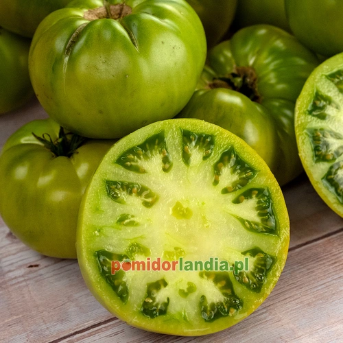 Summertime Green